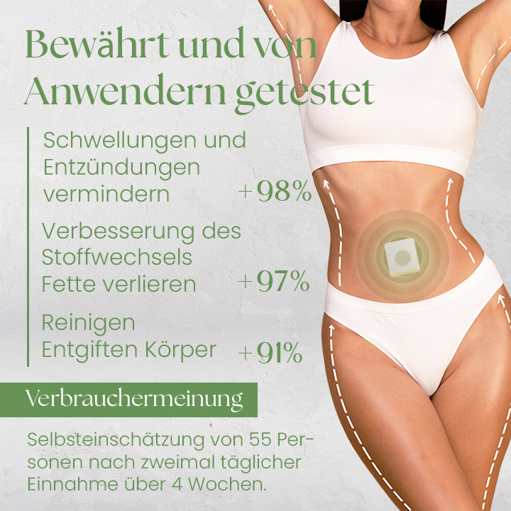 Ceoerty™ DetoxPro Kräuterpflaster zum Abnehmen