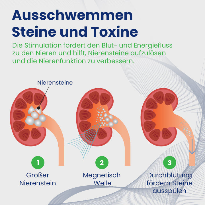 Ceoerty™ NierenGuard Akupressur-Therapie-Gürtel