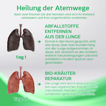 Ceoerty™ PureAir Herbal Lungenreinigungspflaster